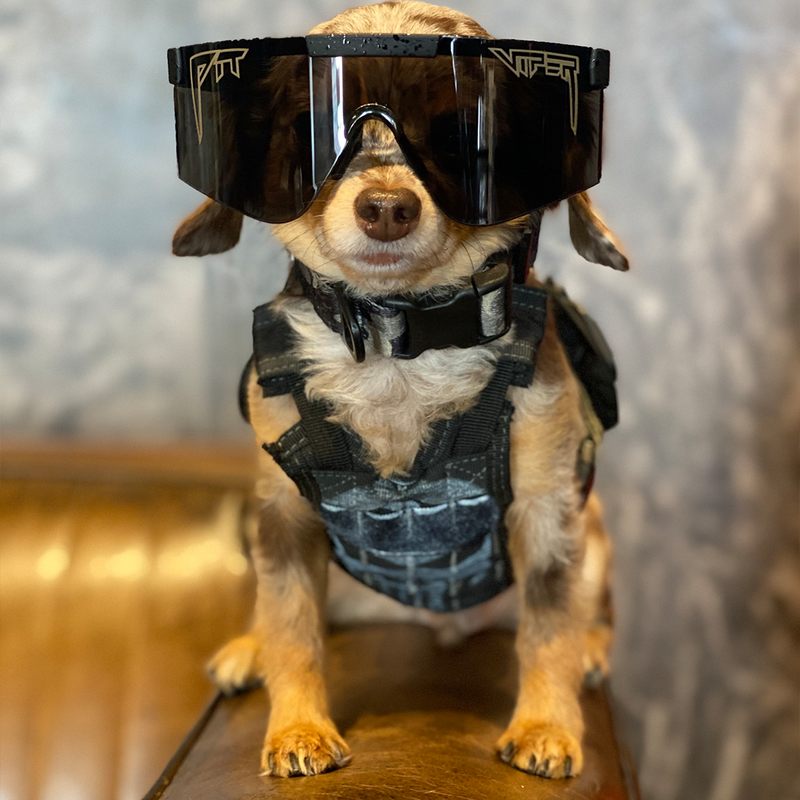 / BALL-ISTIC™ Smoke | this_one_actually.JPG | The Blacking Out 2000 BALL-ISTIC™ Smoke Lens from Pit Viper Sunglasses